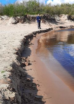 Mit dem Boot zur Insel Margjepolle im Tjeukemeer