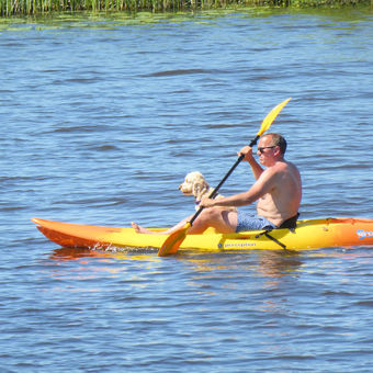 Mit dem Hund in den Urlaub auf dem Boot