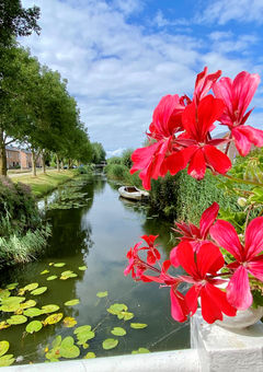 Unvergesslicher Bootstour in Holland!!