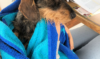 Mir ist ein bisschen kalt nach dem Schwimmen