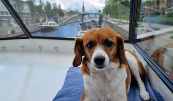 Posieren für die Kamera