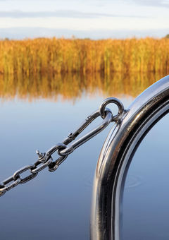 Die Woche ist ein wahres Fest der Aktivitäten