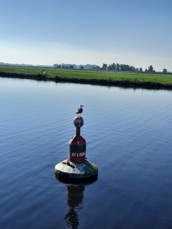 Eine spannende, aufregende und dennoch erholsame Bootsreise