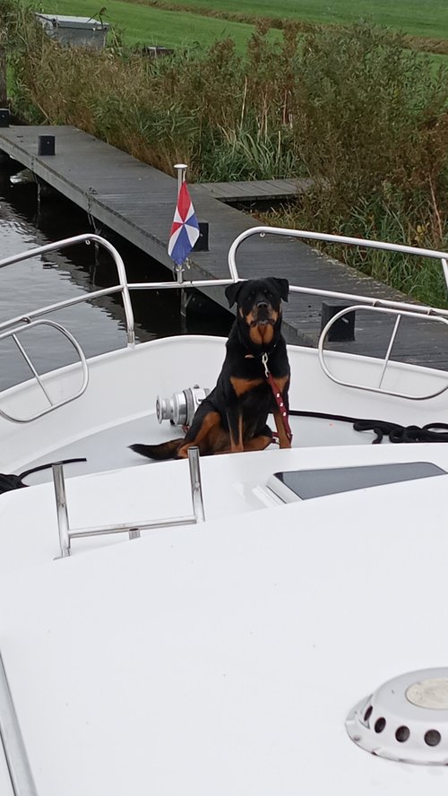 Bewertung eines Bootsurlaubs auf dem Boot Amora von Yachts4u Yachtcharter am 27/10/2023