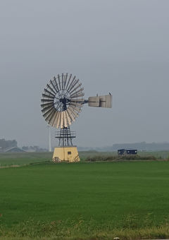 Windmühlen, so charakteristisch für Holland